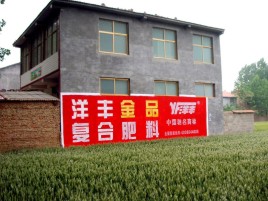 合阳如何让墙体广告展现最大化效果