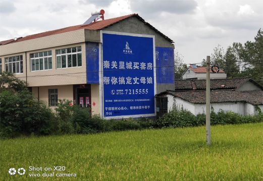 合阳决定墙体广告价格的因素有哪些?