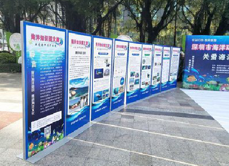 合阳KT板的种类和知识。